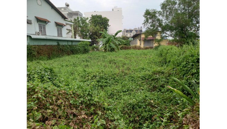 Cho thuê đất Vườn Lài P. An Phú Đông Quận 12